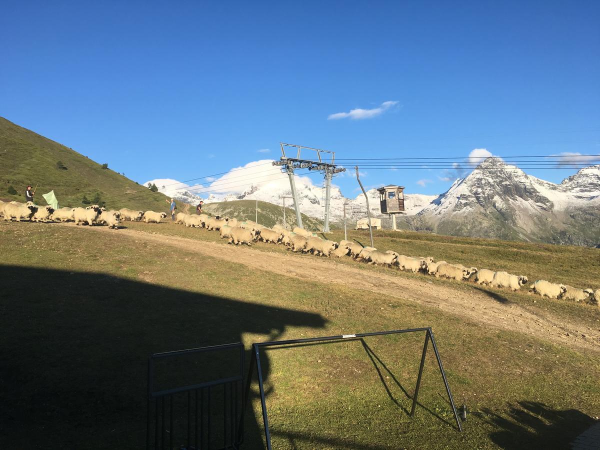 Restaurant Fleschboden Pansiyon Rosswald Dış mekan fotoğraf